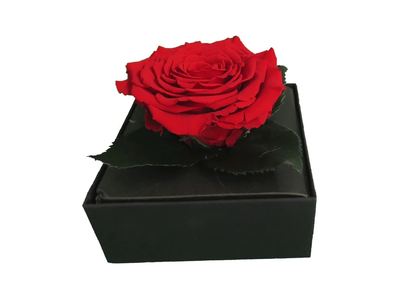 Comarco Sa Real stabilized red rose gift box 11x11x10 cm