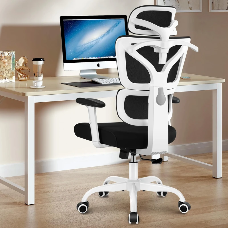 Winrise Office Chair Ergonomic Desk Chair W
