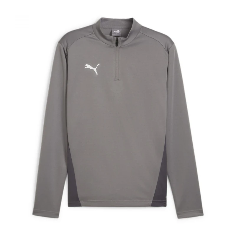PUMA teamGOAL Training 1/4 Zip Top