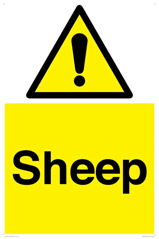 Sheep Sign - 400x600mm - A2P - Image 1