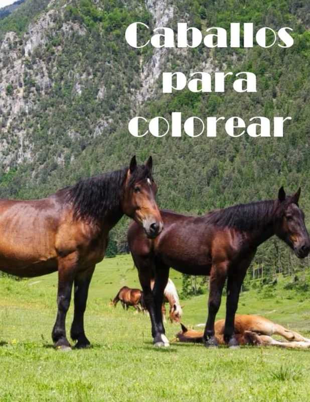 Caballos para pintar