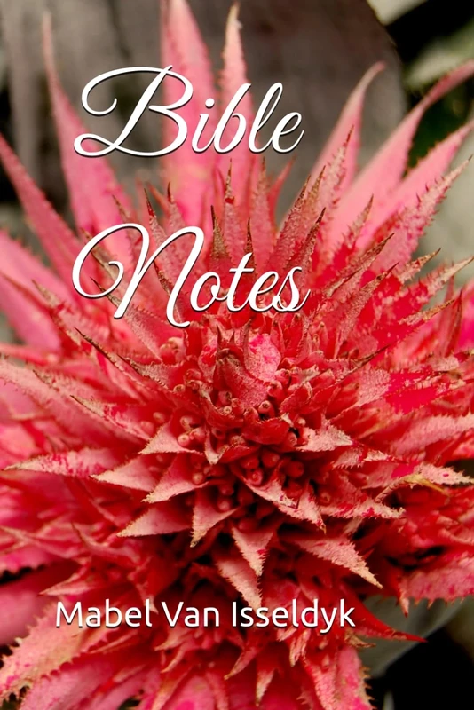 Bible Notes