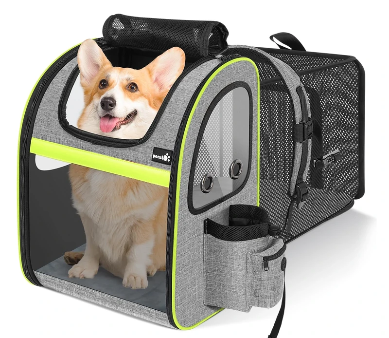 pecute Cat Carrier Dog Backpack Expandable Large, Portable Breathable Rucksack with Top Opening-Visible Acrylic-Pockets, Extendable Back More Space Great For Carrying Pets