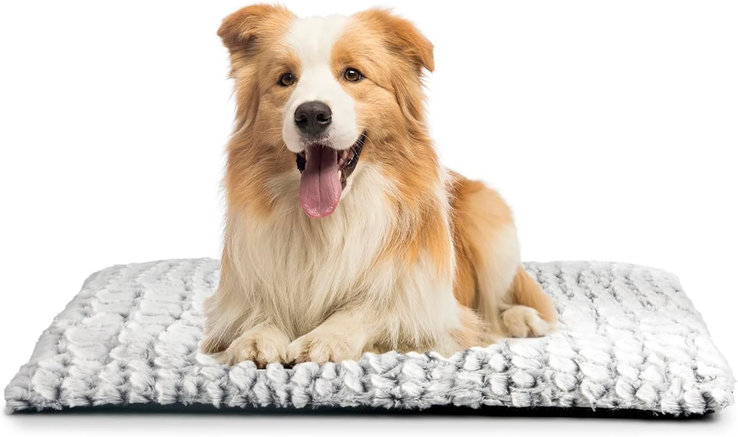 Petace Dog Self-heating Pad 75 x 50 cm, Pet Self-warming Mat, Electric-Free Warm Bed for Kittens & Small Puppy, Self-heated Dog Blanket Machine Washable