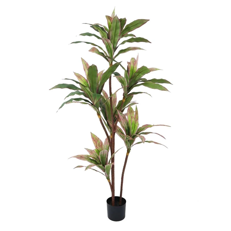 BigBuy Home Plant, Standard - Image 1