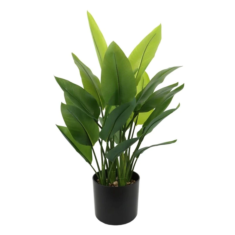 BigBuy Home Plant, Standard - Image 1