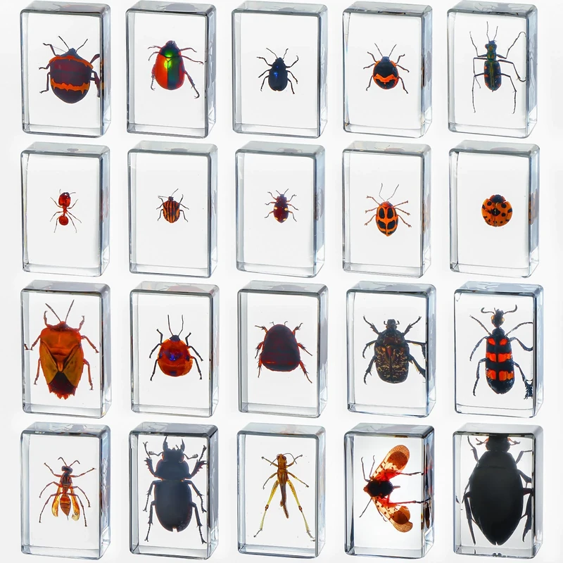 20 Pcs Insect in Resin Bug Preserved Specimen Collection Paperweights Resin Insects Various Insect Specimen for Office Men Women Biology Science Teacher Education Bug Collection Supplies (Insect) - Image 1