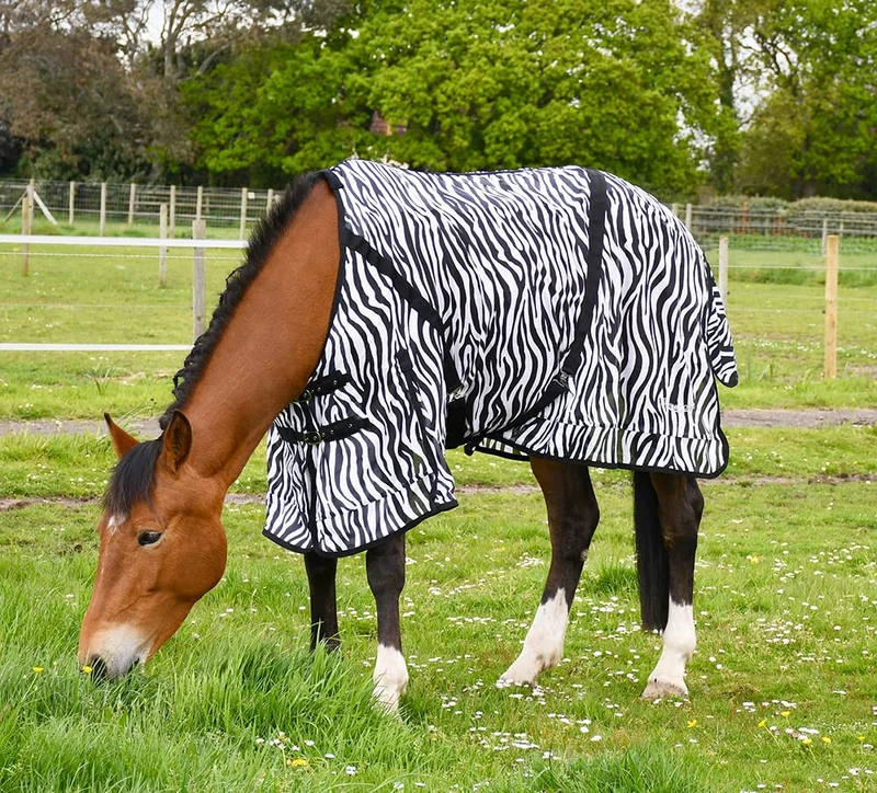 Rhinegold Fly Rug With Neck Cover-6/3-Zebra