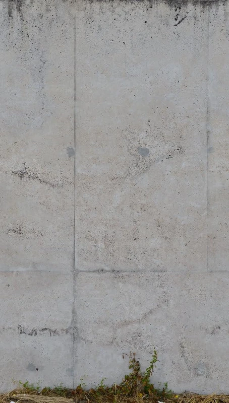 A.S. Création Non-Woven Wallpaper, Concrete Look Wallpaper in Grey, Wall Wallpaper for Various Rooms, XXL Wall Picture, 2.80 m x 1.59 m