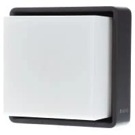 Steinel L 845 SC Outdoor LED Wall Light with Motion Sensor, Smart Wall Light, Bluetooth Mesh, Control via Connect App