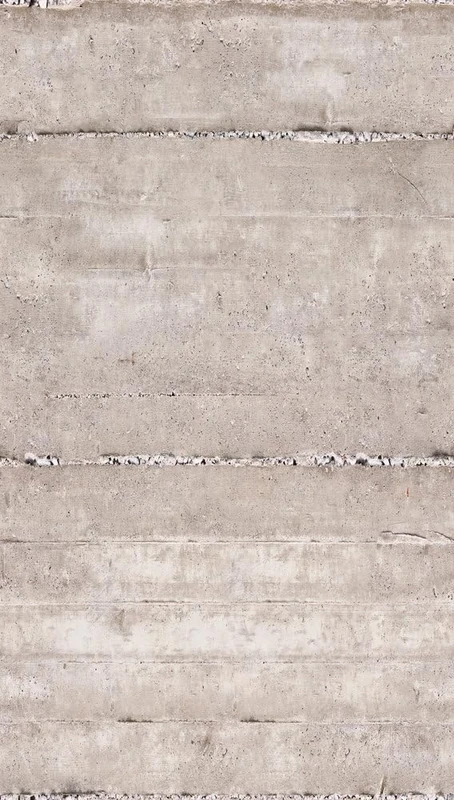 A.S. Création Photo Wallpaper Concrete Look Grey Floral Wallpaper 2.80 m x 1.59 m Living Room Modern