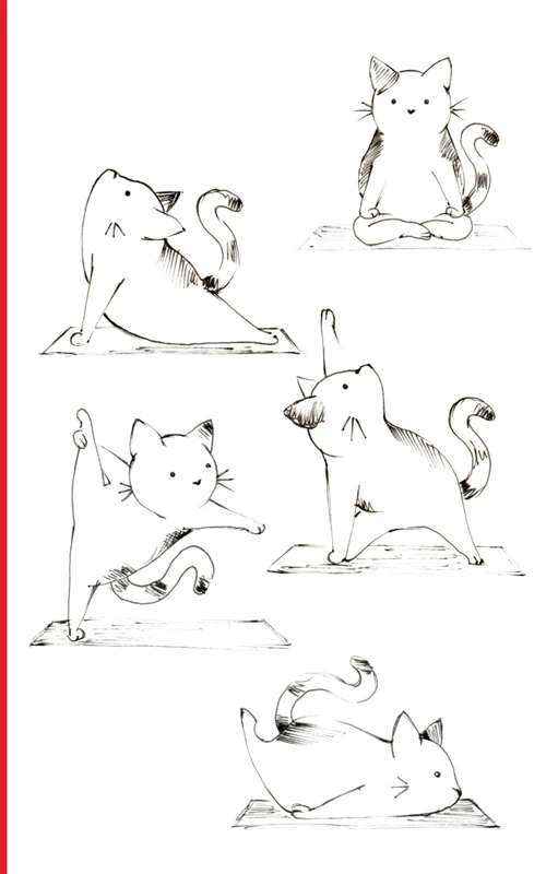 Cat Composition Book: Yoga Cat | sketch/unruled/plain/blank | cover art | cat lover | fine art book: 5"x8" - 13x20 cm - 100 pages - artwork by anita rossi - Image 1