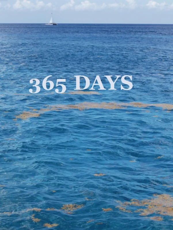 365 Agenda for self discovery & personal growth: discover who you are, how to budget, set goals, and more with this agenda!