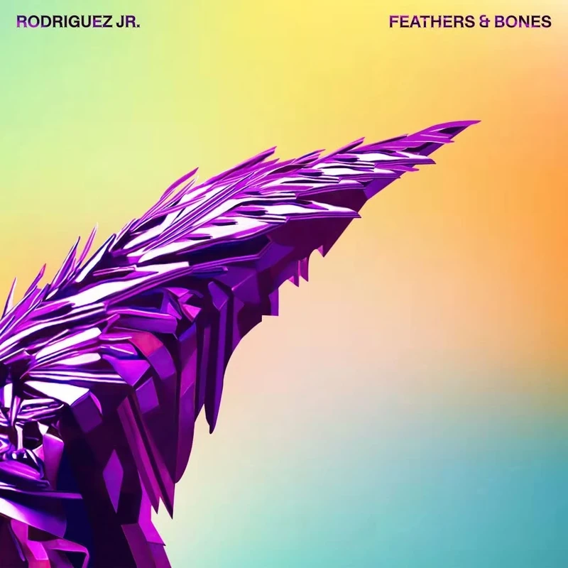 Feathers & Bones [VINYL]