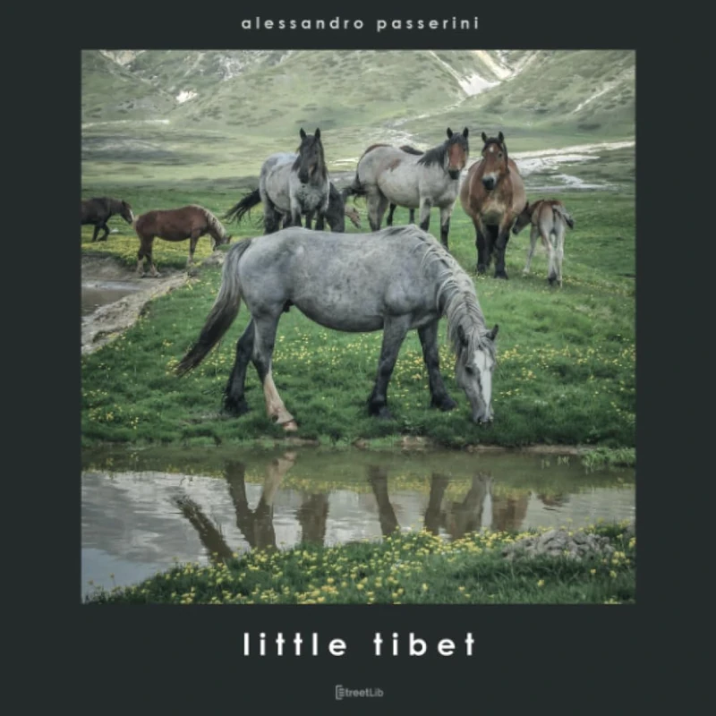 Little Tibet (Project) - Image 1