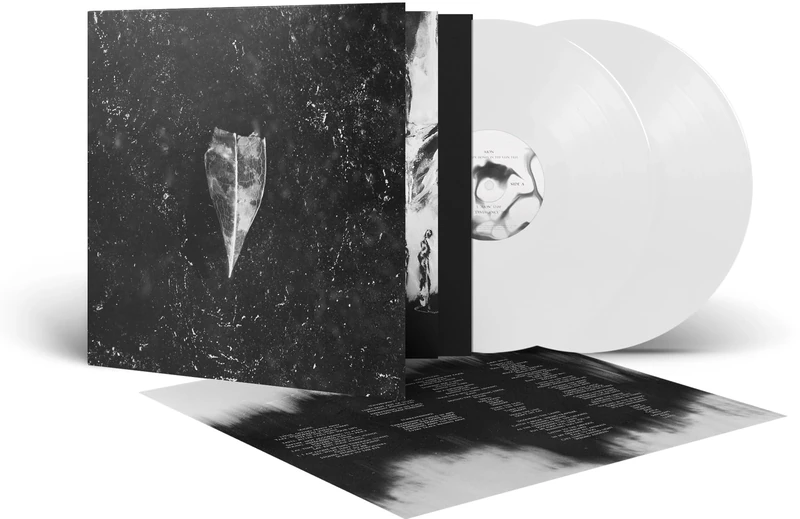 Aion [VINYL]