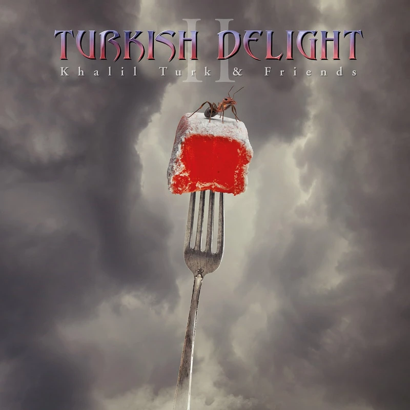 Turkish Delight Volume 2 [VINYL]