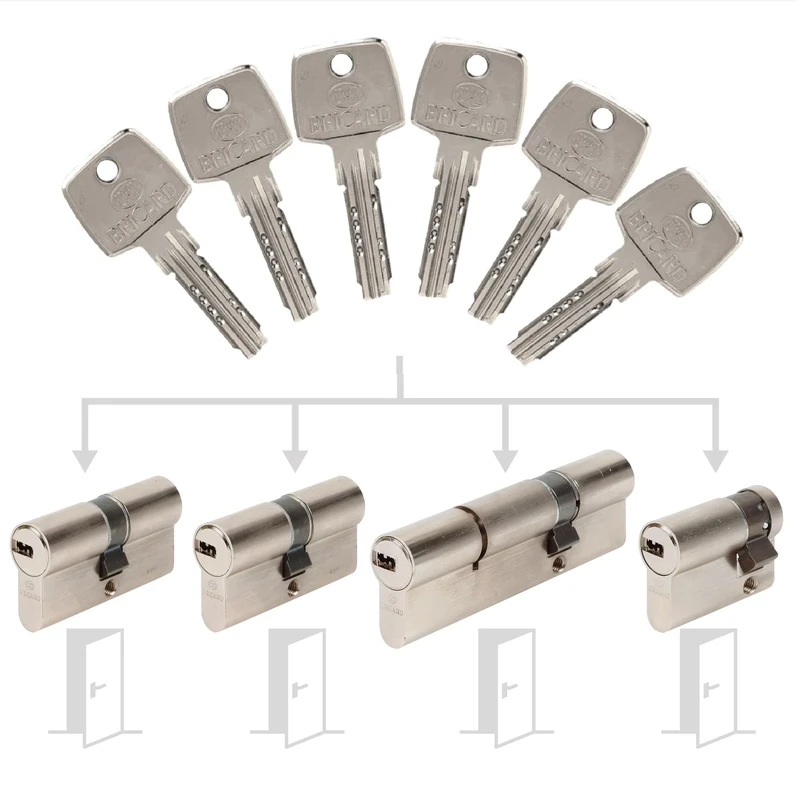Bricard 17300 Pack de Cylindres S'Entrouvrant Lock Cylinder, Silver