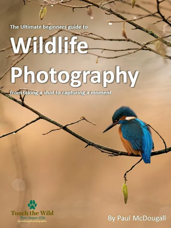 The Ultimate Beginners Guide to Wildlife Photography: From Taking a Shot to Capturing a Moment