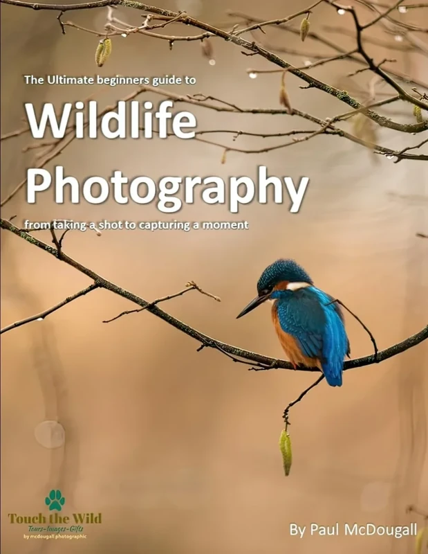 The Ultimate Beginners Guide to Wildlife Photography: From Taking a Shot to Capturing a Moment