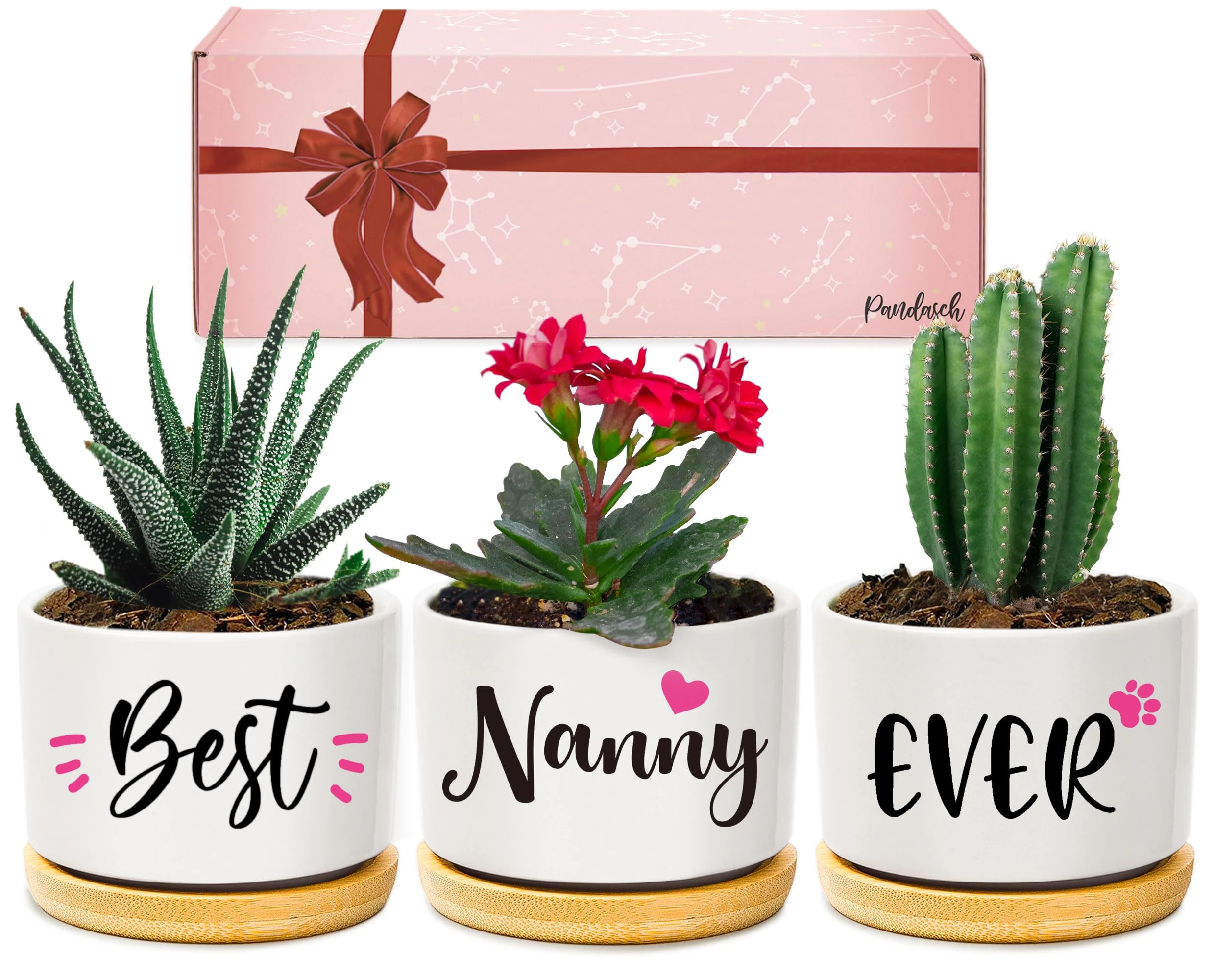 Pandasch Nanny Gifts, Nanny Christmas Birthday Gifts, Best Nanny Ever Succulent Pots Gifts for Nanny from Grandchildren, Unique Garden Gift Ideas for Nanny on Christmas Birthday Mothers Day