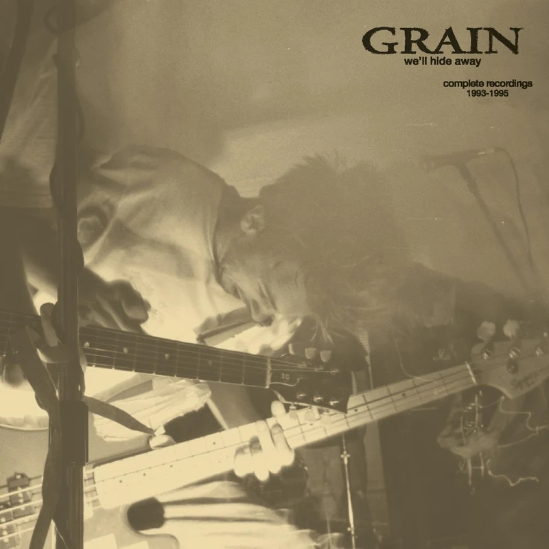 We'll Hide Away: Complete Recordings 1993-1995 [VINYL] - Image 1