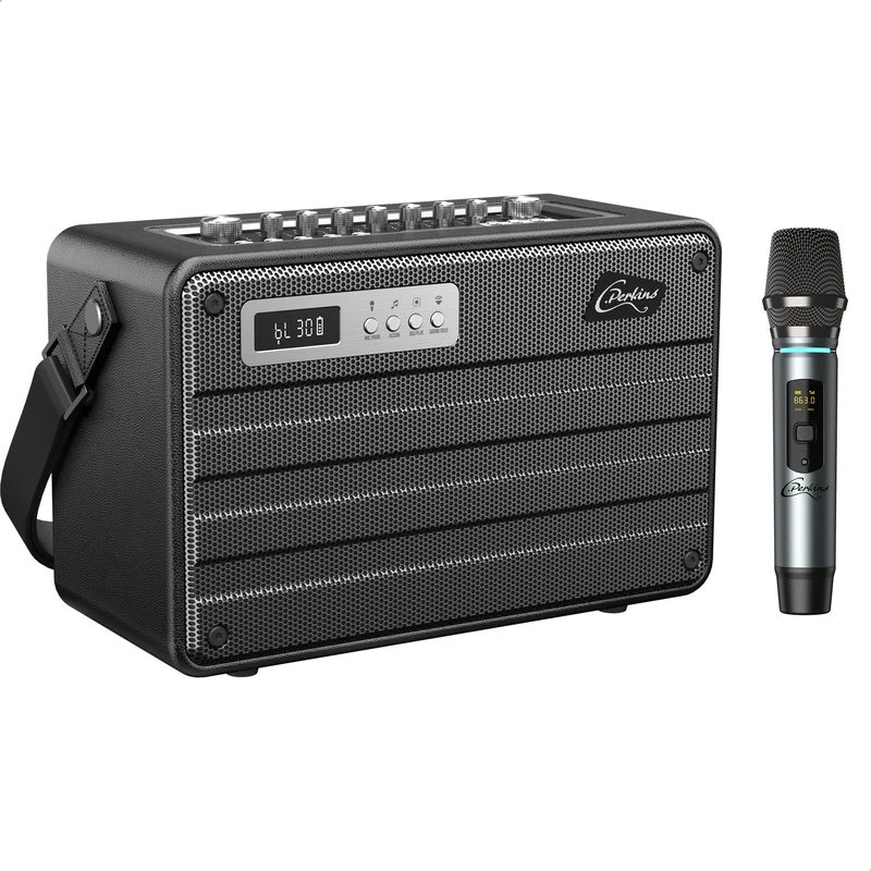 C.Perkins - ROADY-FL - The ALL-IN-ONE professional 100W, battery powered, 1 UHF wireless microphone and a range of features - Bluetooth, USB, Jack, Micro-SD - Black Leather