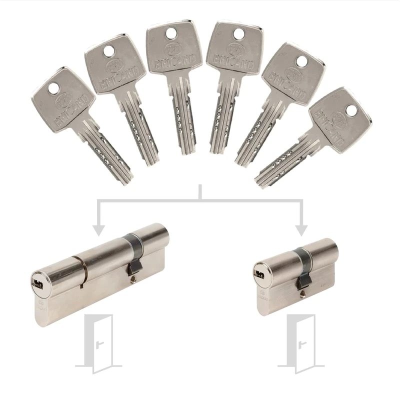 Bricard 17318 Pack de Cylindres S'Entrouvrant Lock Cylinder, Silver