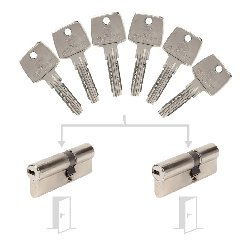 Bricard 17310 Pack de Cylindres S'Entrouvrant Lock Cylinder, Silver