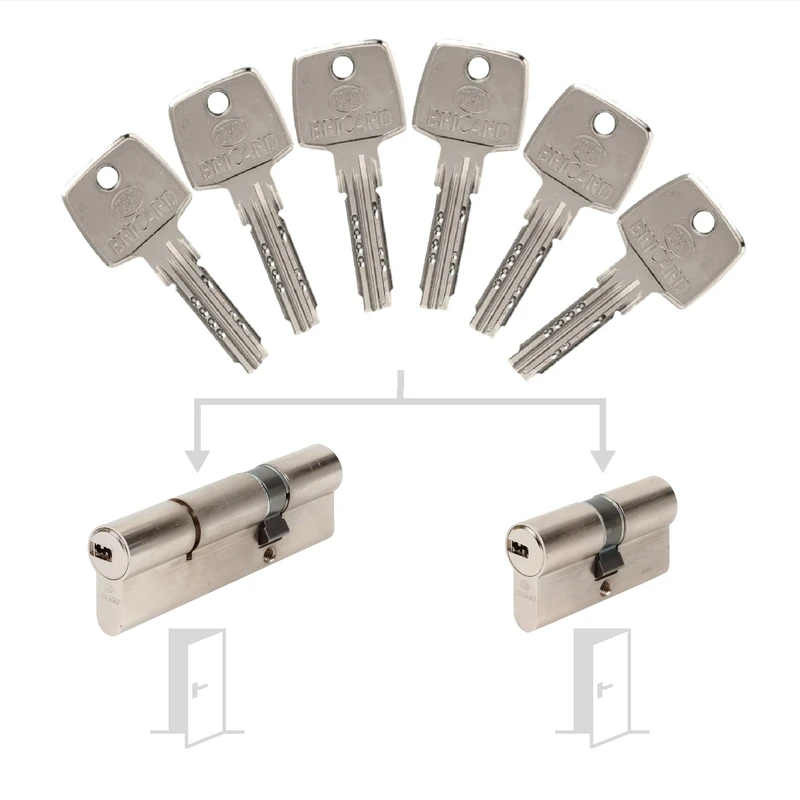 Bricard 17315 Pack de Cylindres S'Entrouvrant Lock Cylinder, Silver