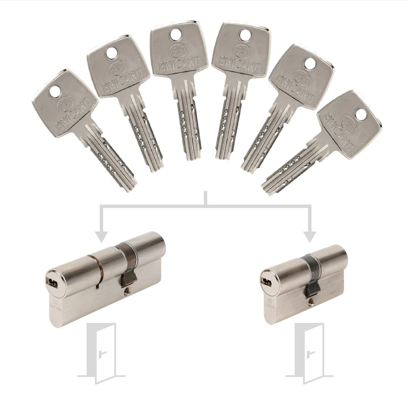 Bricard 17316 Pack de Cylindres S'Entrouvrant Lock Cylinder, Silver - Image 1