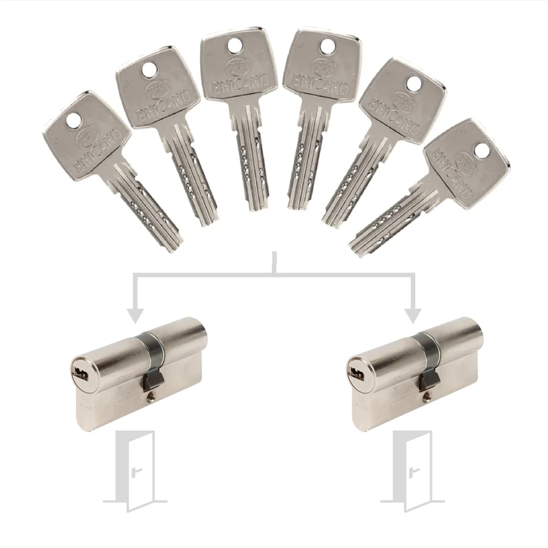 Bricard 17311 Pack de Cylindres S'Entrouvrant Lock Cylinder, Silver