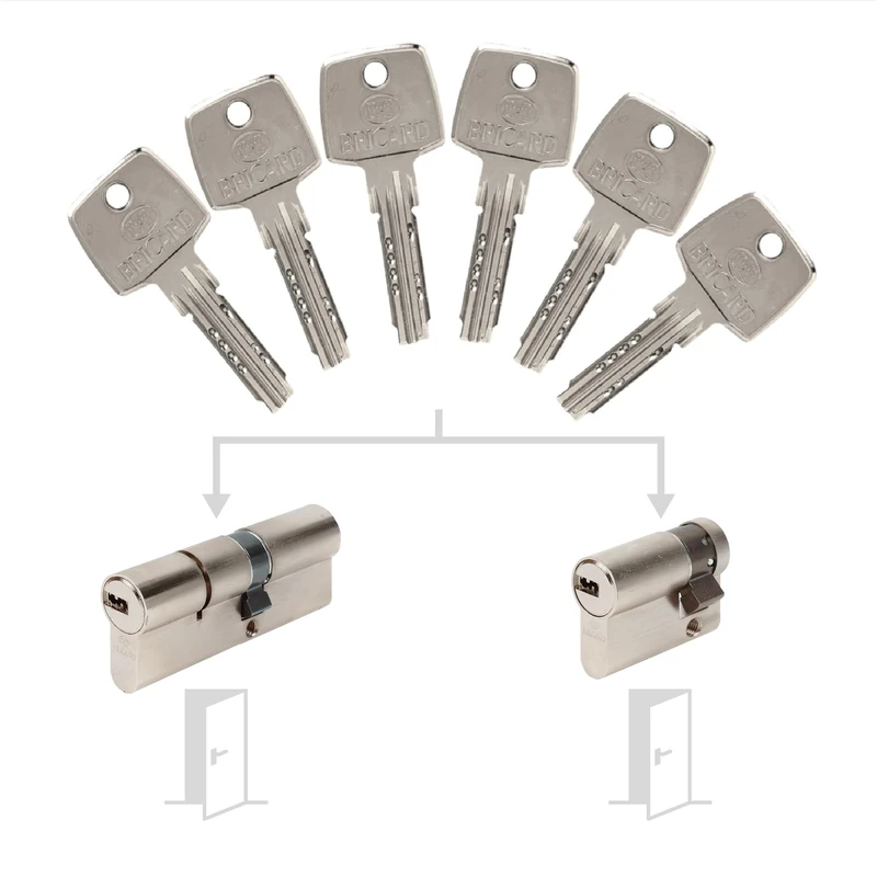 Bricard 17321 Pack de Cylindres S'Entrouvrant Lock Cylinder, Silver