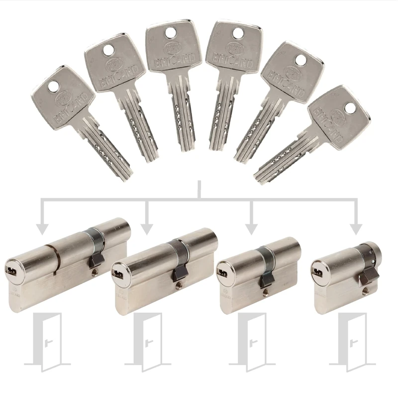 Bricard 17305 Pack de Cylindres S'Entrouvrant Lock Cylinder, Silver