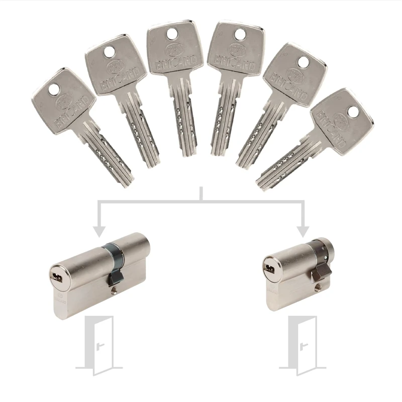 Bricard 17324 Pack de Cylindres S'Entrouvrant Lock Cylinder, Silver
