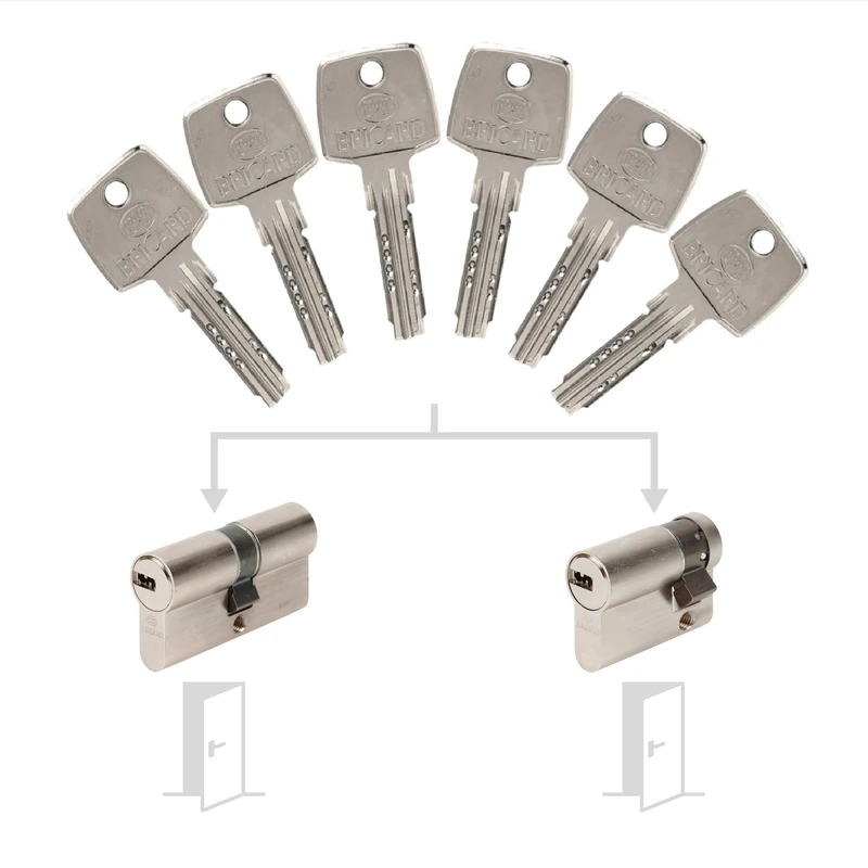 Bricard 17319 Pack de Cylindres S'Entrouvrant Lock Cylinder, Silver