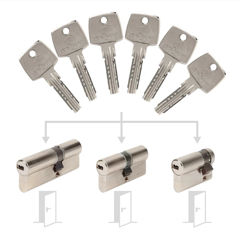 Bricard 17303 Pack de Cylindres S'Entrouvrant Lock Cylinder, Silver