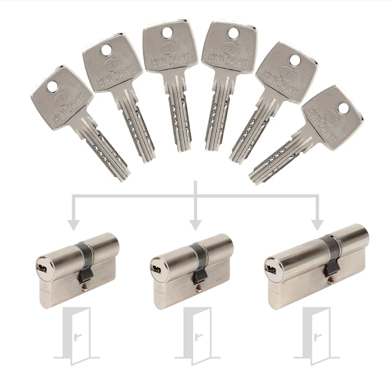 Bricard 17307 Pack de Cylindres S'Entrouvrant Lock Cylinder, Silver