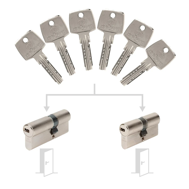 Bricard 17317 Pack de Cylindres S'Entrouvrant Lock Cylinder, Silver