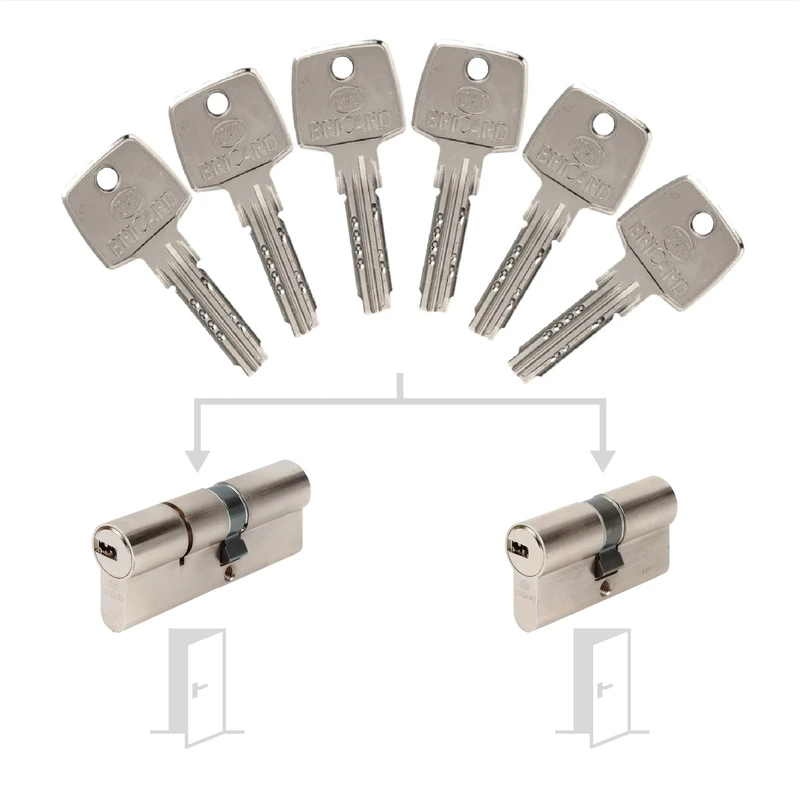Bricard 17314 Pack de Cylindres S'Entrouvrant Lock Cylinder, Silver