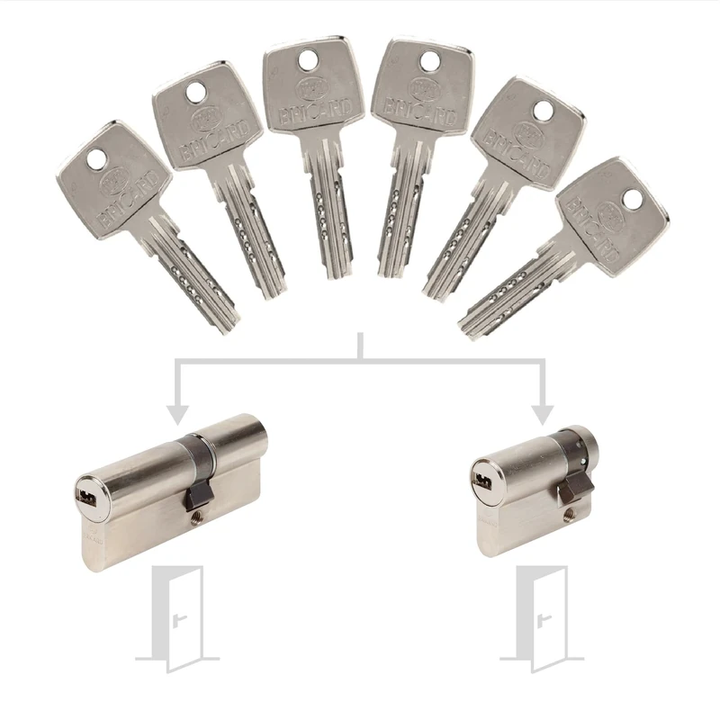 Bricard 17320 Pack de Cylindres S'Entrouvrant Lock Cylinder, Silver