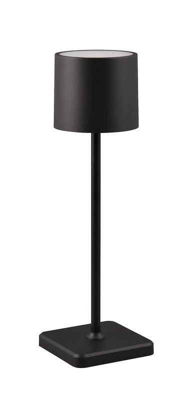 RL LIVE YOUR LIGHT Reality Leuchten Fernandez R54096132 LED Battery Outdoor Table Lamp 1.5 Watt LED Charging Station