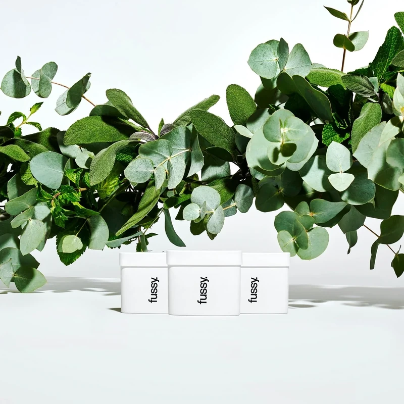 Fussy - Natural Deodorant Refill - Pack of 3 - Aluminium Free - Mint Scent - 24 Hour Protection - 100% Effective - Wavy Days - Peppermint, Eucalyptus & Sage - Vegan & Cruelty Free - 3 x 40g Refills