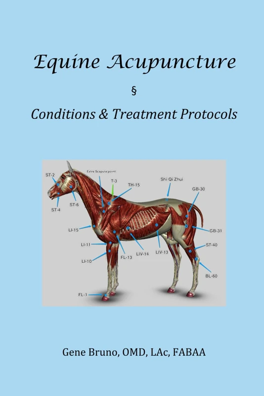 Equine Acupuncture - Conditions & Treatment Protocols
