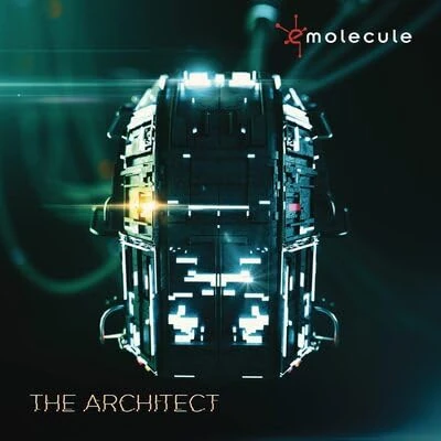 The Architect [VINYL]