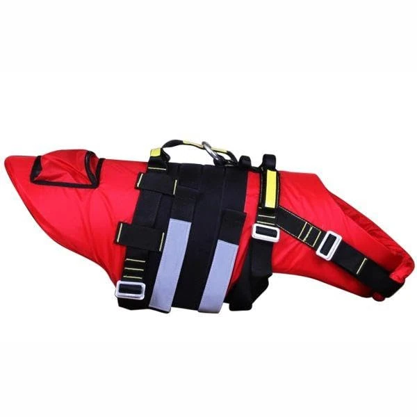 DELPHINUS SZ S - Image 1