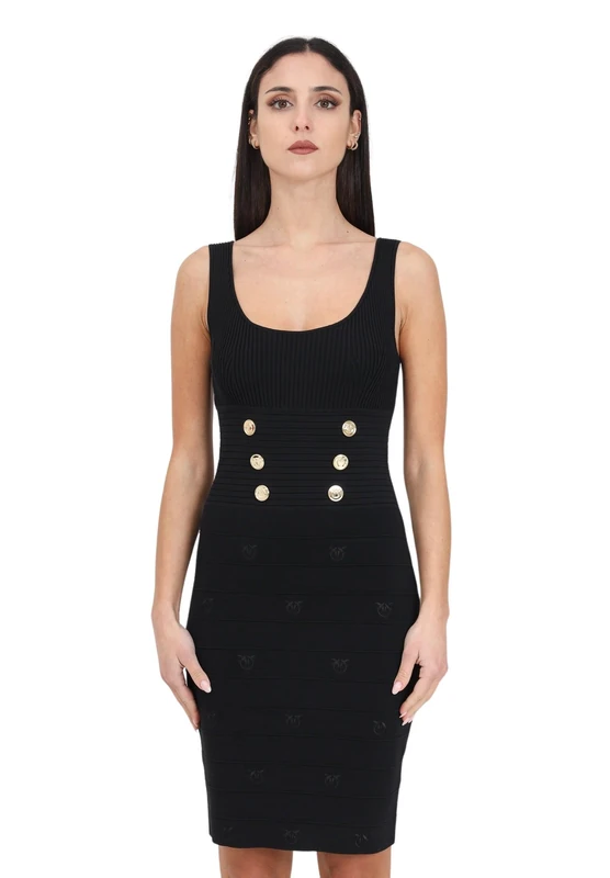 Pinko Women's Cactus Dress Bands Jacquard Logo Birds - S