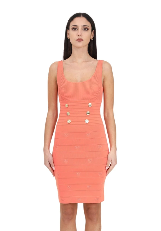Pinko Cactus Stripe Jacquard Logo Birds Dress, P77_Salmon Fresh, L