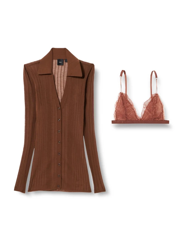 Pinko Women's Dandelion Cardigan Crepe Transparent Sweater, l1_Brown/Leather, XXS