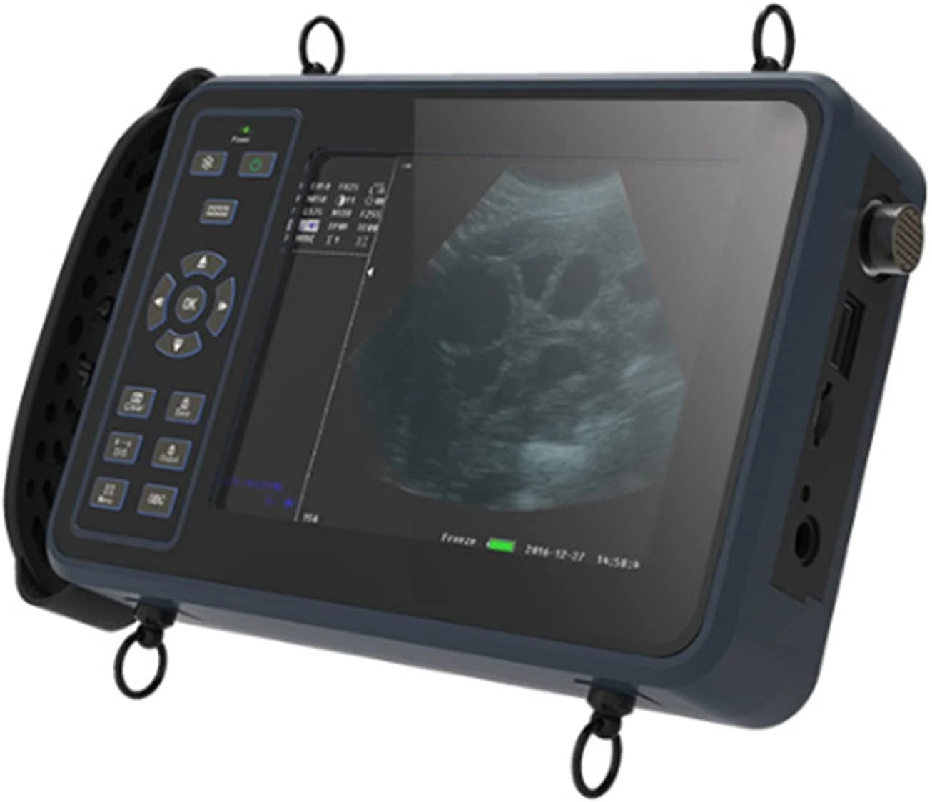 MOLVUS Vet Veterinary Ultrasound Scanner Portable Laptop B-Ultra Sound Scanner Machine for Horse/Cow/Sheep Use (3.5 MHz Convex Probe) (Color HD version) (cattle) (Pig and sheep)